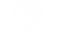Art of Entanglement Brazilian Jiu-Jitsu Academy logo